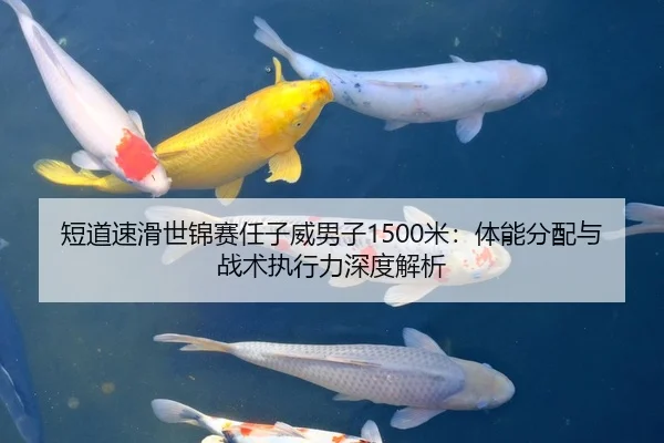 短道速滑世锦赛任子威男子1500米：体能分配与战术执行力深度解析