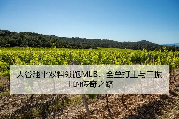 大谷翔平双料领跑MLB：全垒打王与三振王的传奇之路