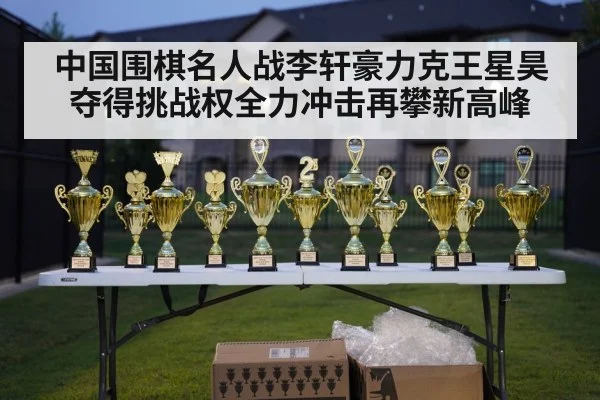 中国围棋名人战李轩豪力克王星昊夺得挑战权全力冲击再攀新高峰